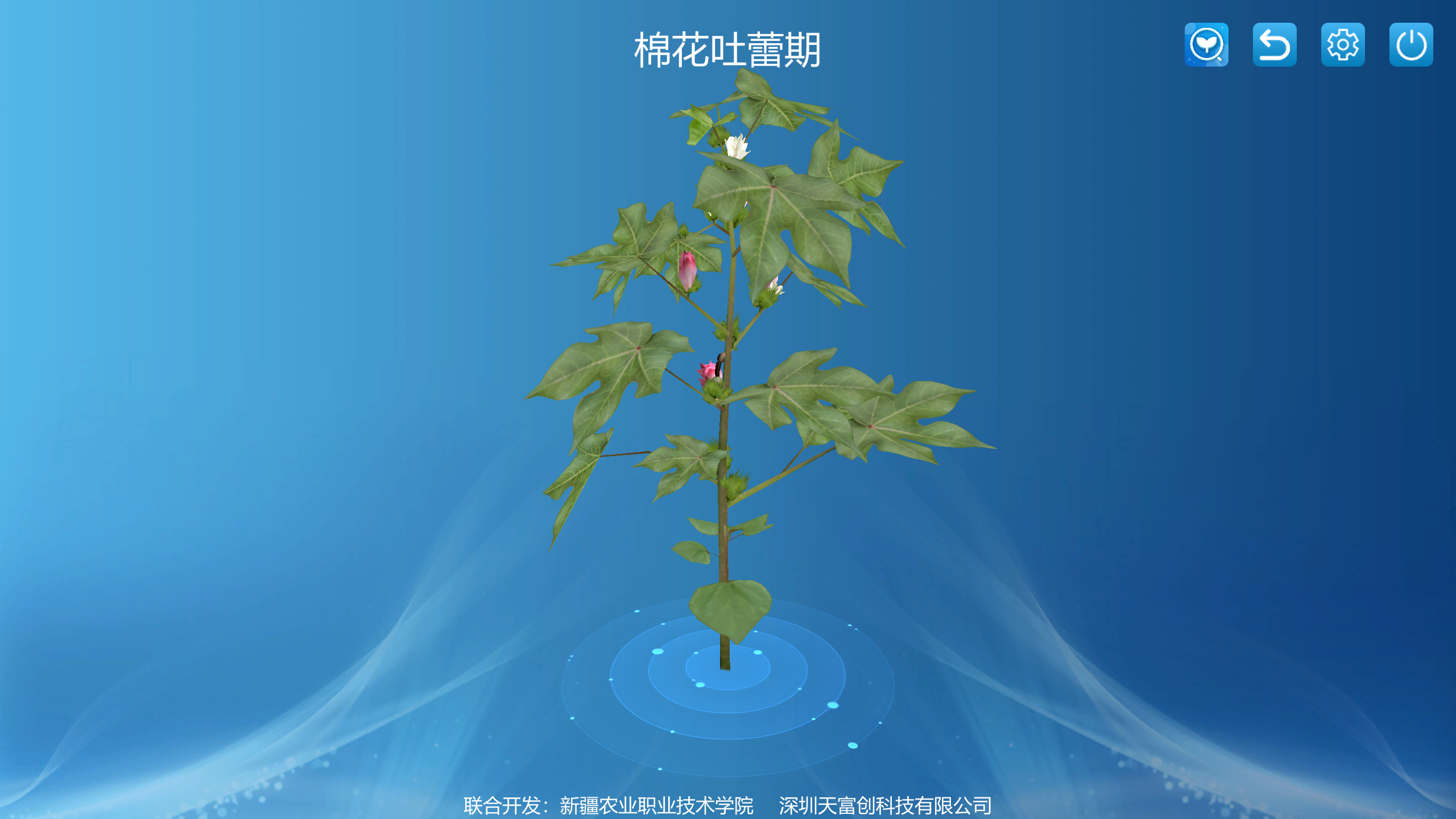 图片关键词