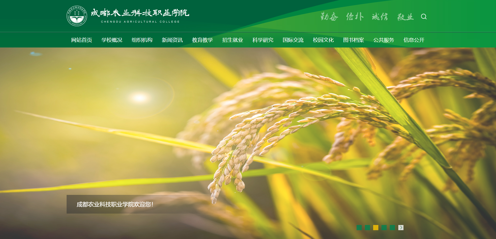 图片关键词