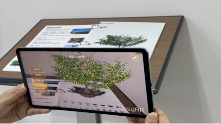 图片关键词 图片关键词