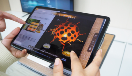 图片关键词 图片关键词