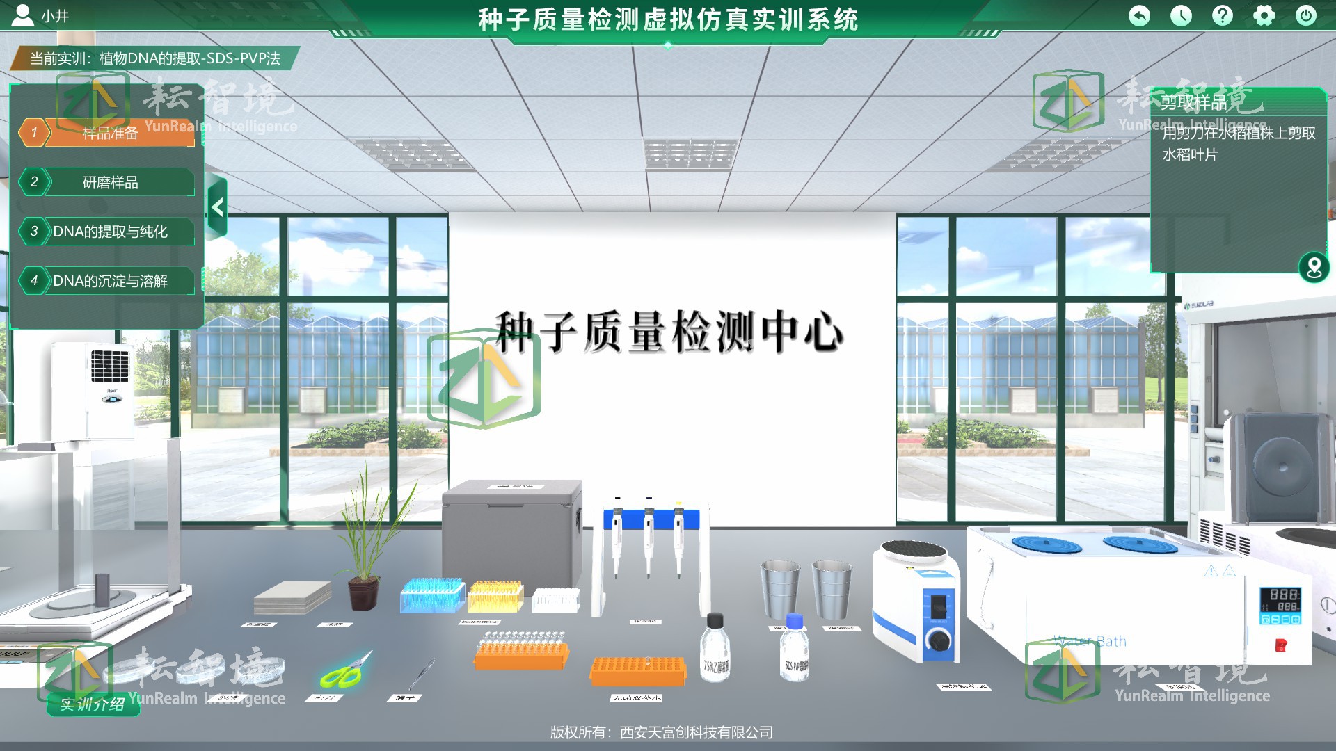 虚拟检测与实验