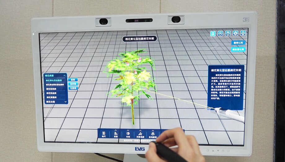 1767085816118044.png 0ce74080-7917-4de3-9ac3-d41f3f9b7d53.png