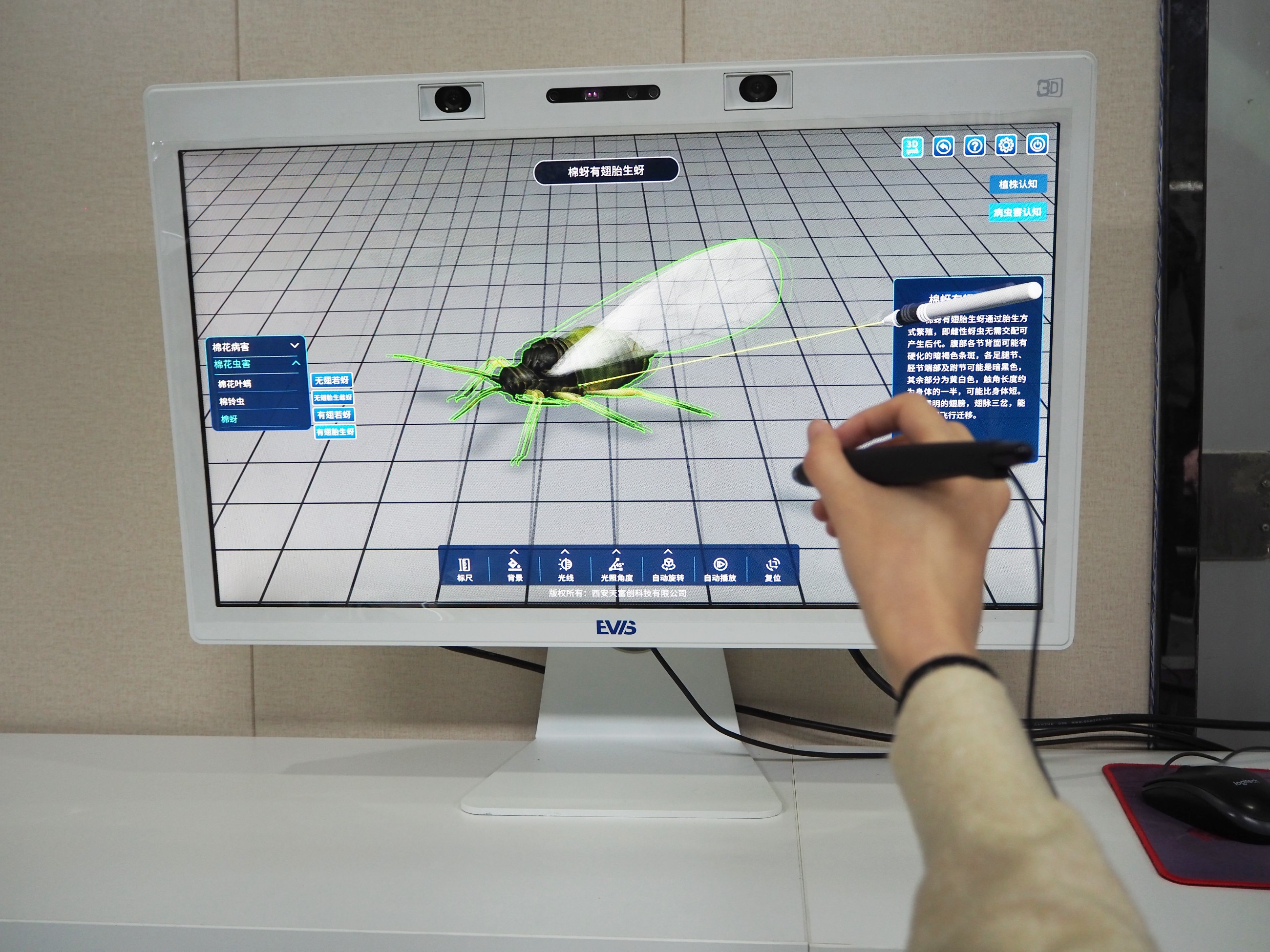 1767086084831442.jpg 11.jpg