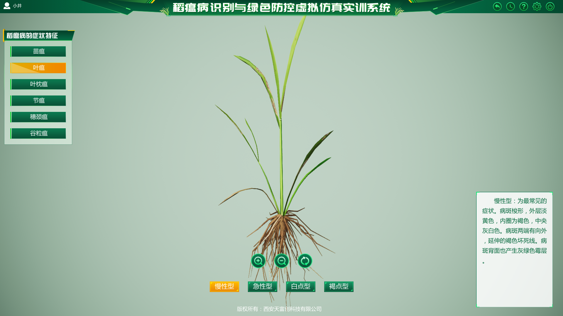 稻瘟病3.png